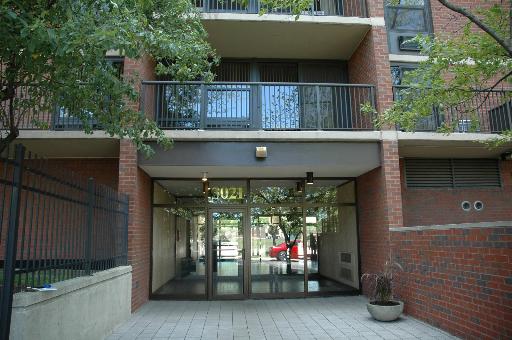 3021 S Michigan Ave Unit 104