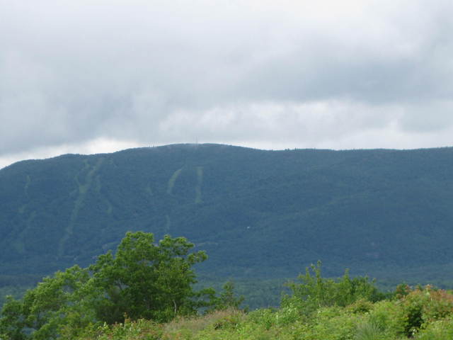 00  Clover Leaf Circle