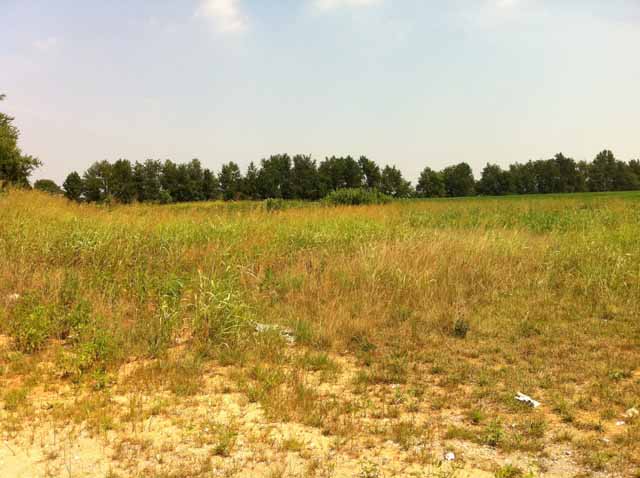 1 Cedar Creek Road-investment / Development Near McNeeley Park