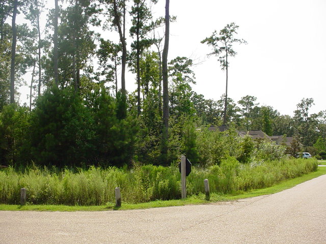 Lot 58 Serenity Lane