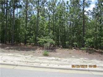 Lot 1408 14 Forest Creek Devel