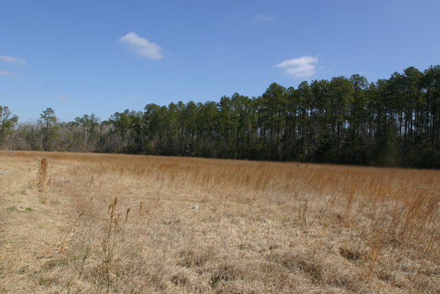 Hwy 190 By-pass