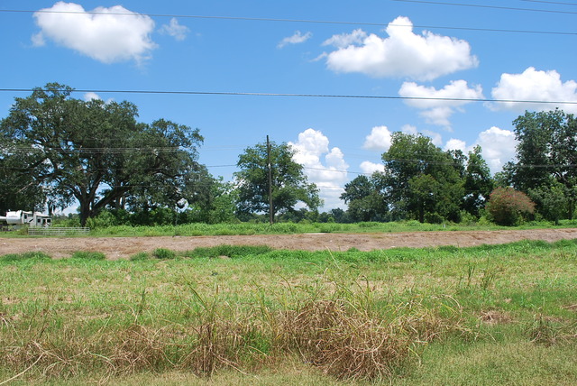 LA State Hwy 21