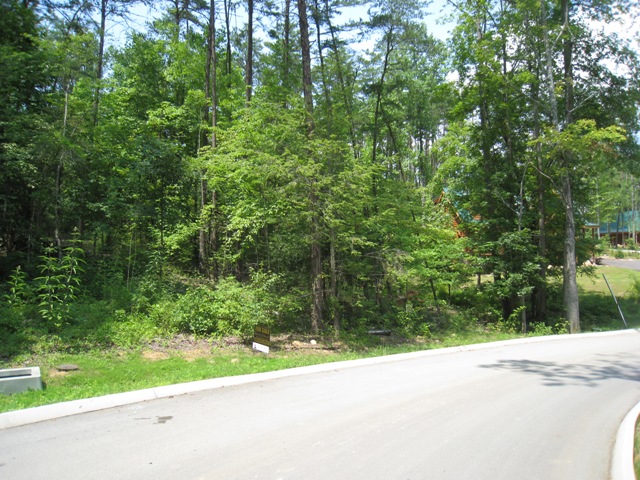 1902 Bluff Mountain Road