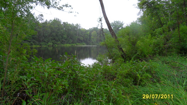 NEC of Tipsico Lake and Holtforth Road