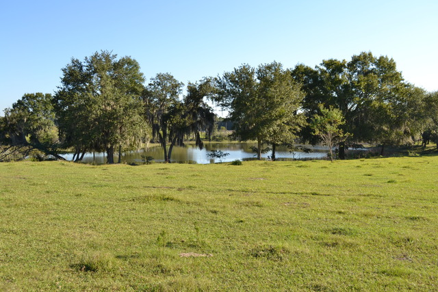 Fish Hatchery Road & Morgan Combee Road