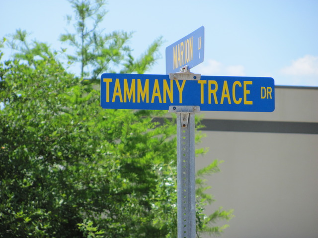 Tammany Trace Drive