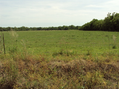 Roy Guidry Road