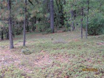 1.2 Ac Lot 22 Trailhead Planned Ut