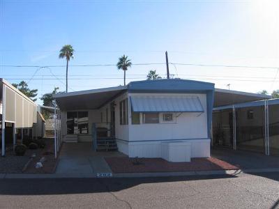 10401 N. Cave Creek Rd., #252