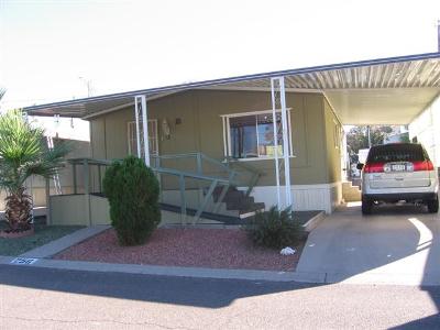 10401 N. Cave Creek Rd., #256