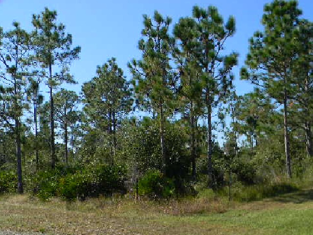 Lot 6 Daytona Dr