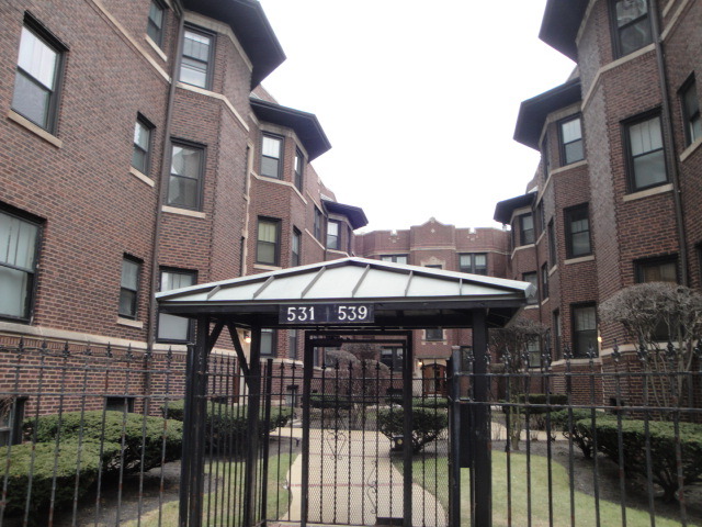 531 W Addison St Apt 1n