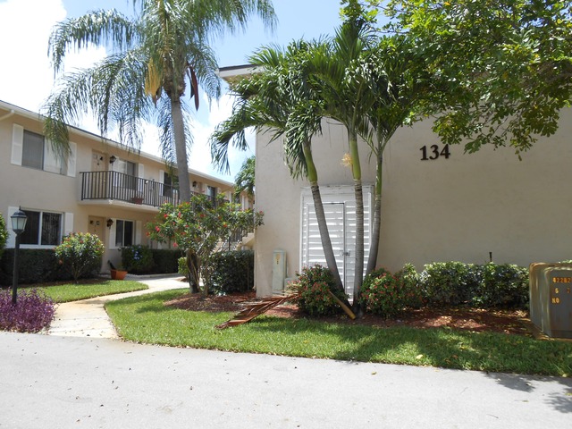 134 Palm Dr Apt 2996