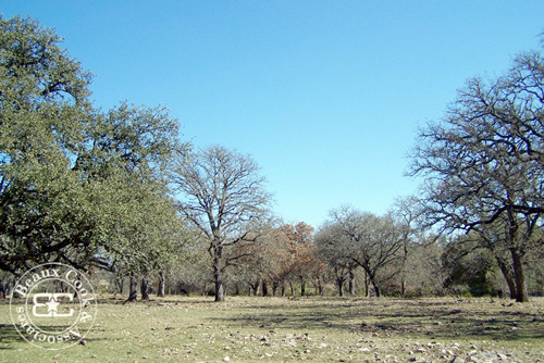 1 of the largest ranches in the Hunt area.