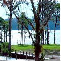 Lot 6 Jackson Shores - Waterfront