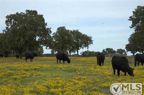 Cross Timbers Road