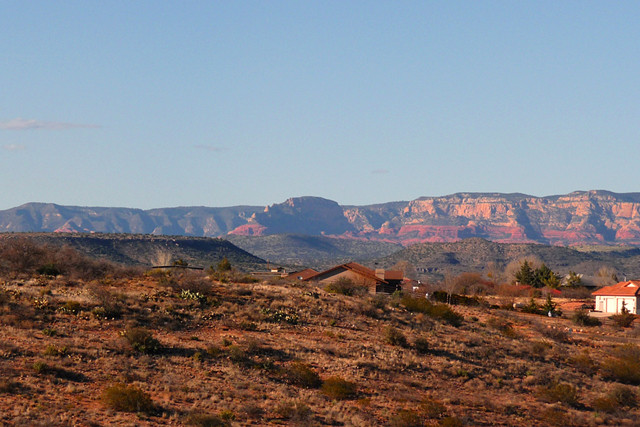 Vacant Plateau