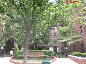 1275 E 51st St Apt 6w