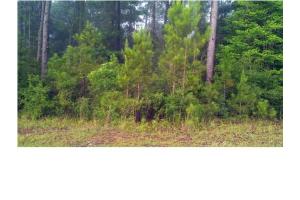 Lot 36 Wilkins Creek Ct