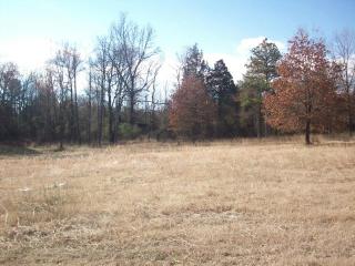 Lot #10, Rock Wall Heights