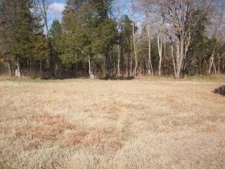 Lot #9, Rock Wall Heights