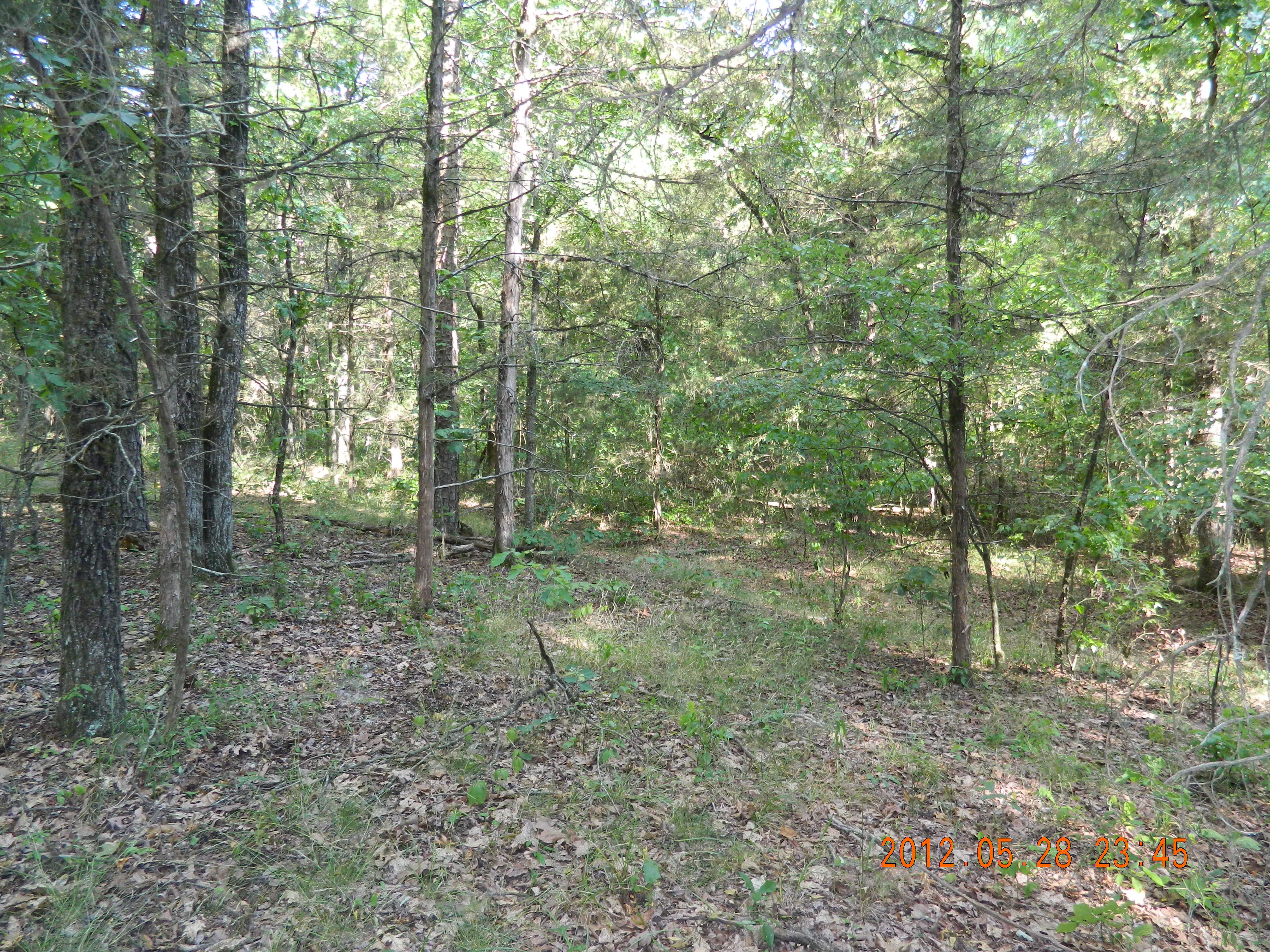 20 acres Off Hwy 164