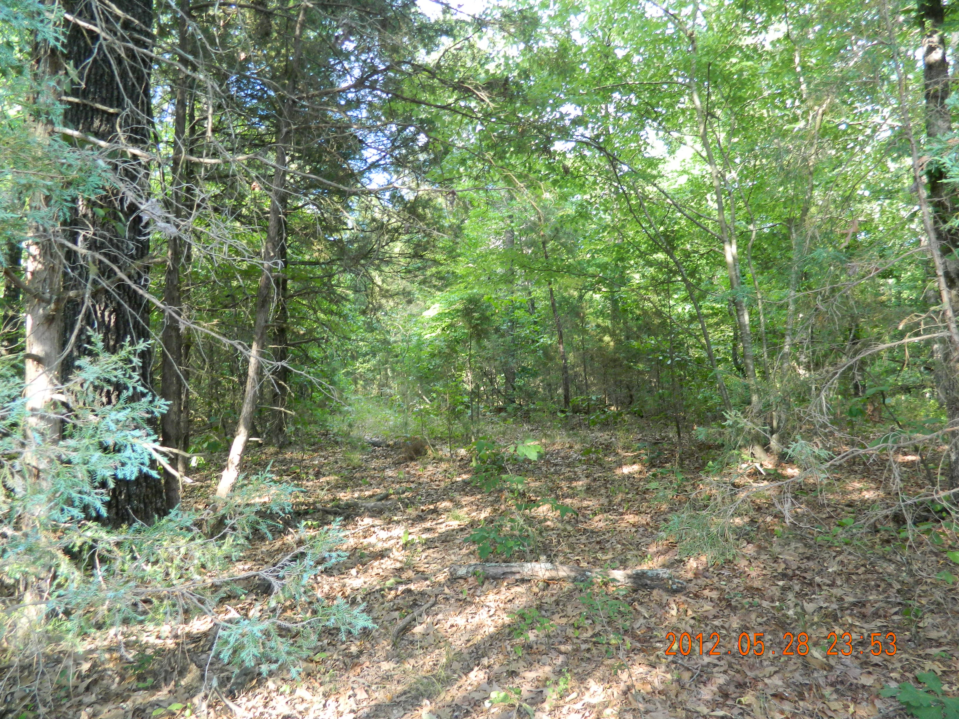 40 acres off Hwy 164