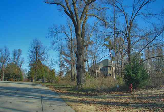 Lot 19 Breckenridge Court