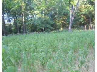 Lot 2 East Bluff Road