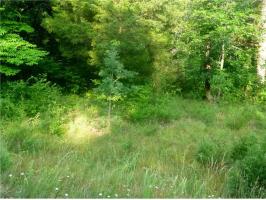 Lot 2 Stateline Dr.