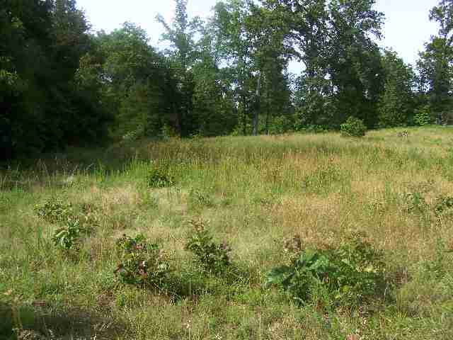 Lot 13 Foxcroft Lane Ln