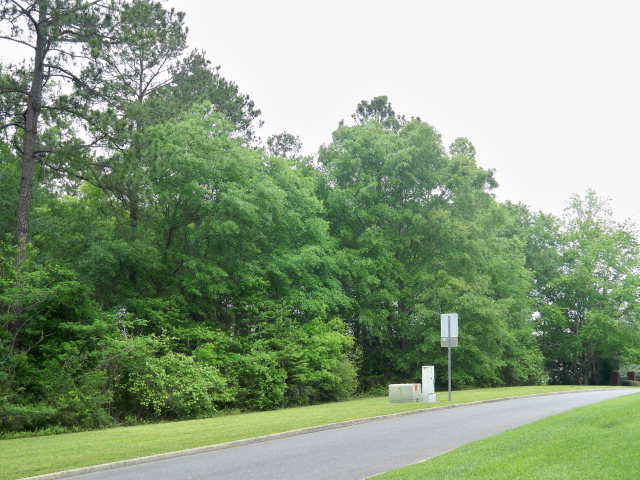 Lot 1 Hampton Way