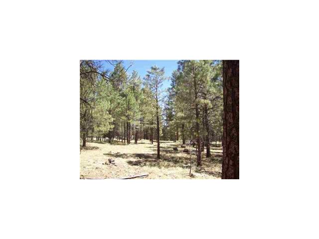 1C Coconino Forest Rd137A Parcel 4