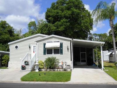 3432 State Road 580, #330