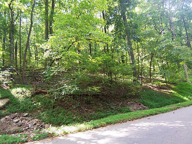 5209 Chestnut Cove Trail