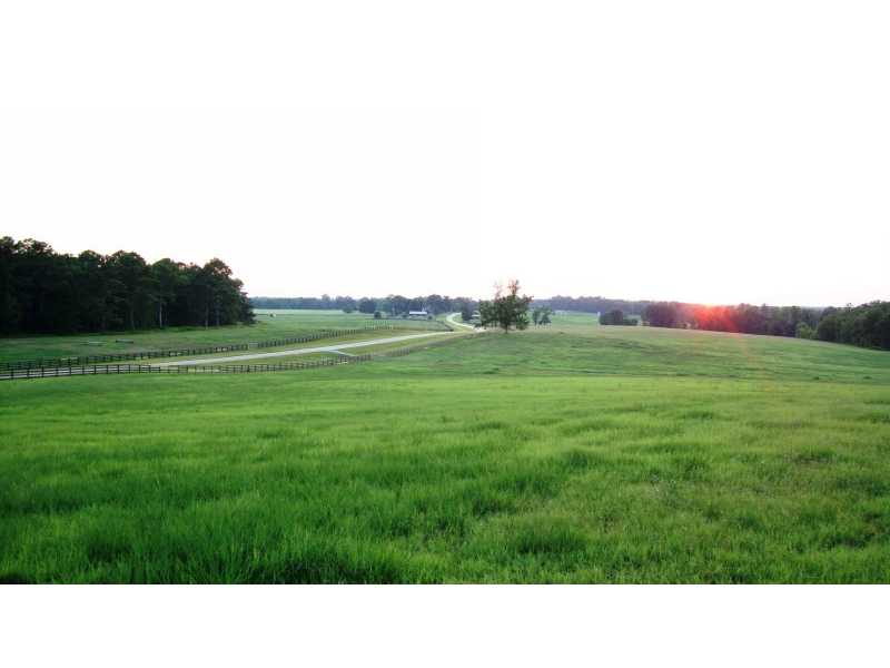 1539 Bear Creek Lot 1 Road