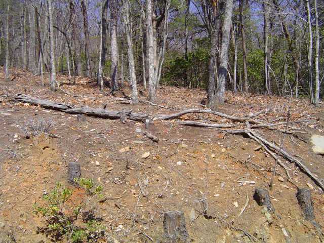 4 Sharp Top Mountain Trail