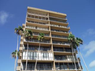 5396 Gulf Blvd #1110