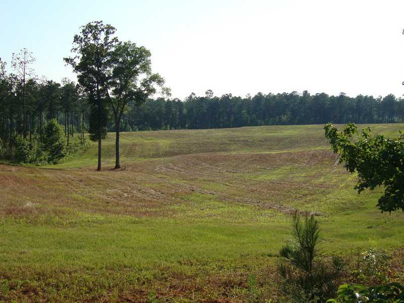 1539 Bear Creek Lot 11 Road