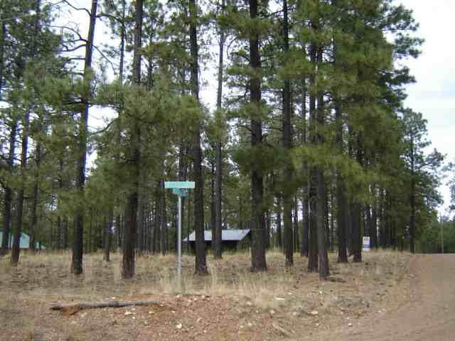 1672 Merzville Rd Lot 27 Forest Lakes