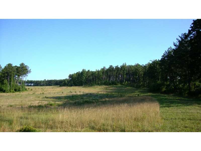 1539 Bear Creek Lot 9 Road