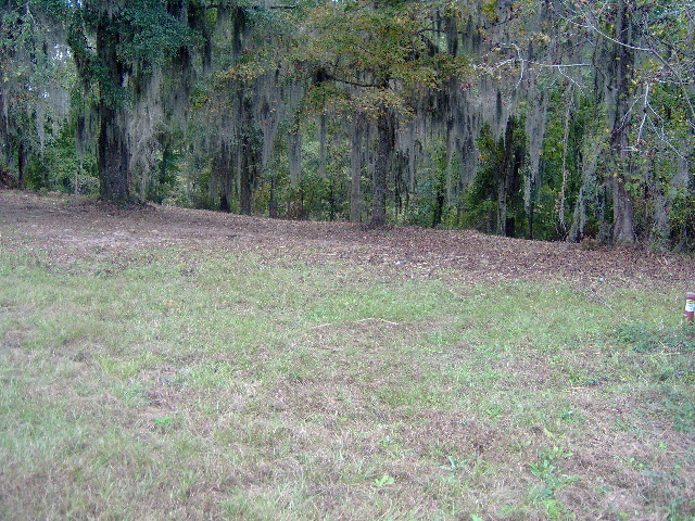 Lot 28 Cypress Cove Dr