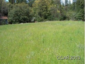 1375 Roaring Camp Road