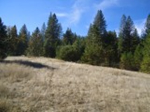 5.3 Acres Old Hwy 120