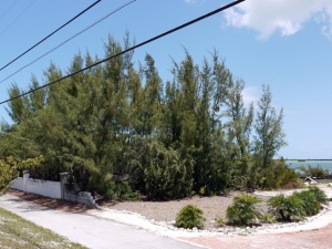 Lot 6 SUGARLOAF Drive