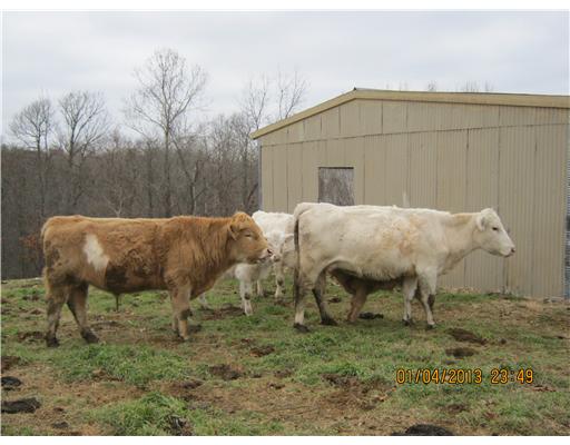 LOT 2 RURAL 19-21-28