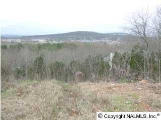 Greentree Trail lot 15/blk 1