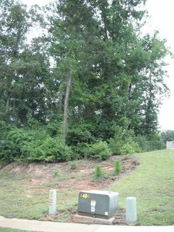 100 Doveland Court Lot 38 Block E Cotton Creek