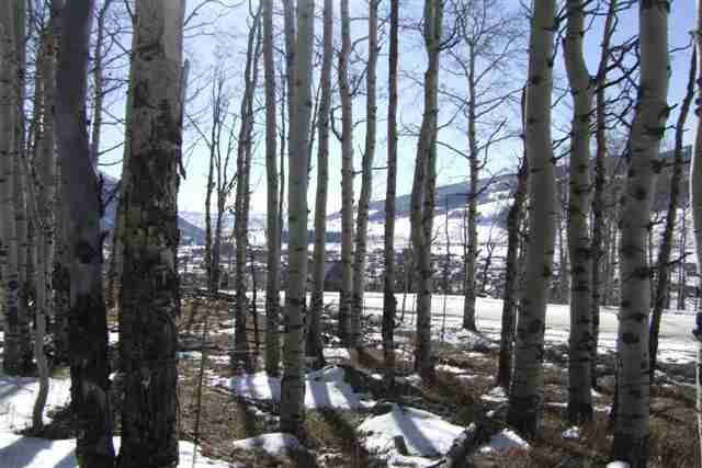 43 Gloria Place Lot 26, Blk 26, F4, Crested Butte